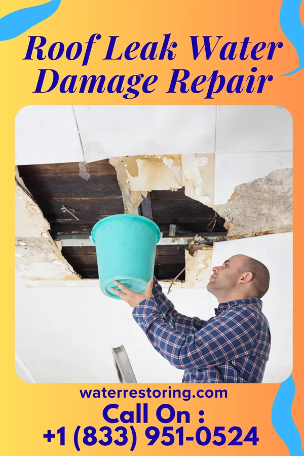 Roof Leak Water Damage Repair in Lewis, KS